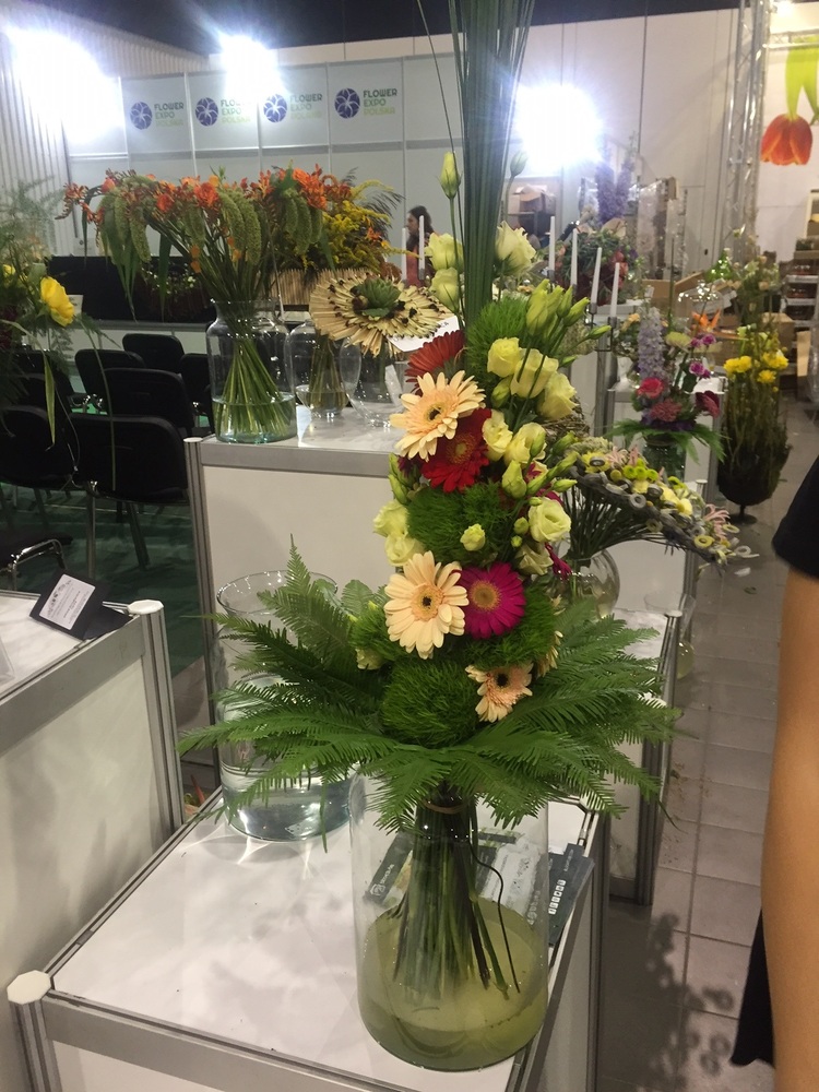 Astra fund at an exhibition of flowers in poland 2016 1496400863
