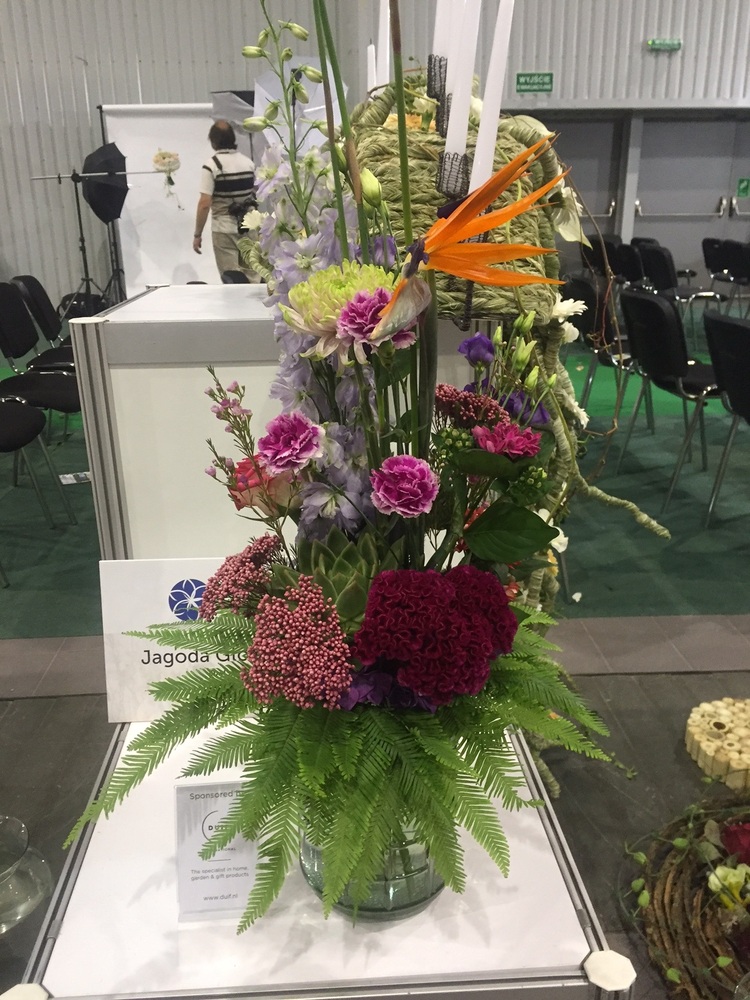 Astra fund at an exhibition of flowers in poland 2016 1496400863