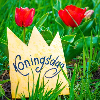 April 27, on Monday, there is a holiday - King's Day. The auction and the banks are closed! zdjęcie