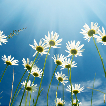 May 14, on Thursday, there is a holiday - Ascension Day. photo