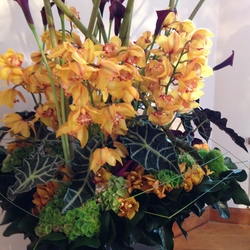 Blumenarrangement mit Kahnorchideen