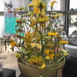 Sunny flower arrangement with cymbidium