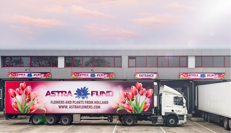 forene Formuler september Astra Fund Holland BV - flowers from Holland wholesale.
